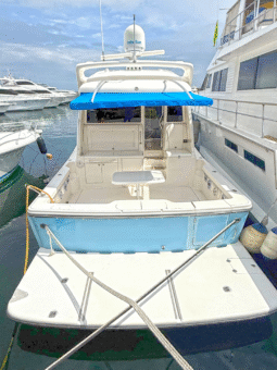 BLUE ARROW EXPRESS 47