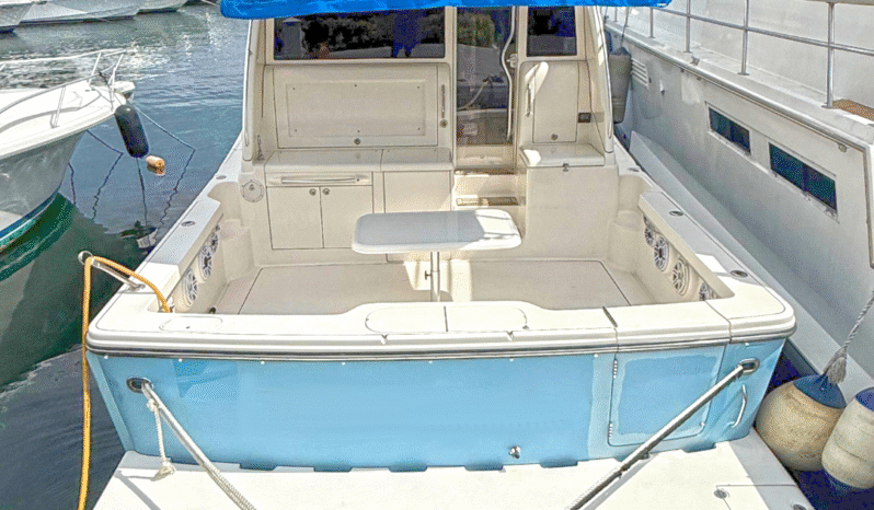 
								BLUE ARROW EXPRESS 47 full									