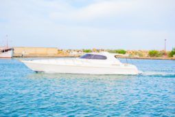 
										BLUE ARROW ULTIMATUM 47 full									