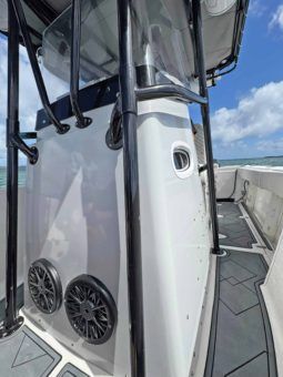 
										BOSTON WHALER 21 full									