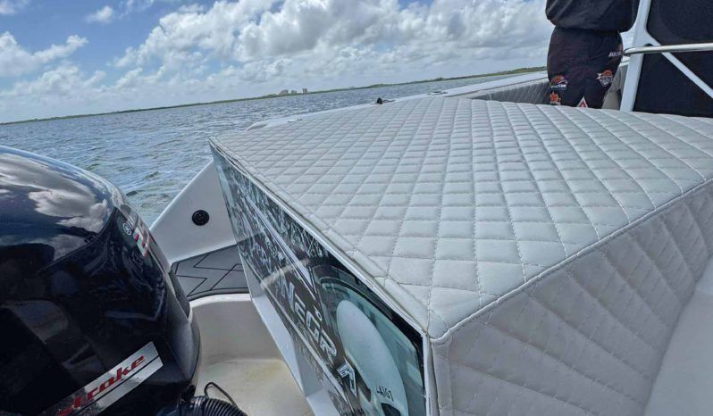 
								BOSTON WHALER 21 full									