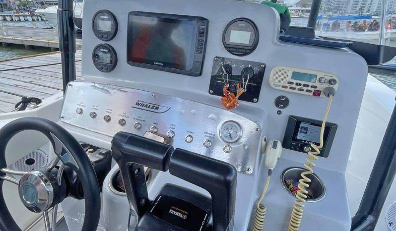 
								BOSTON WHALER 21 full									