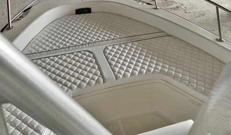 
								BOSTON WHALER 220 DAUNTLESS 23 full									