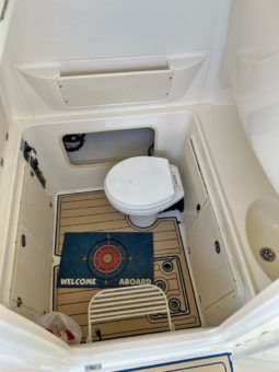BOSTON WHALER 32 full