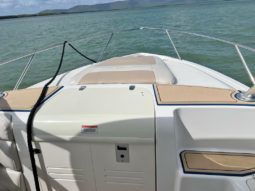 BOSTON WHALER 32 full