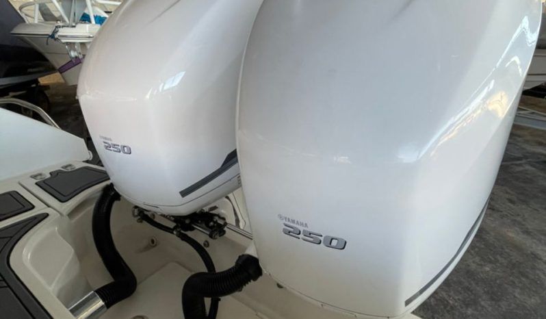 
								BOSTON WHALER DAUNTLESS 24 full									