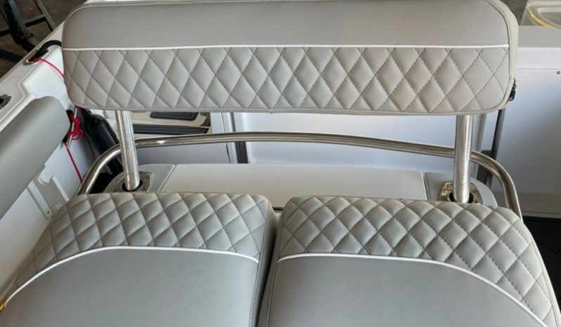 
								BOSTON WHALER DAUNTLESS 24 full									