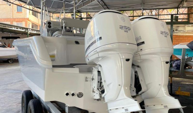 
								BOSTON WHALER DAUNTLESS 24 full									