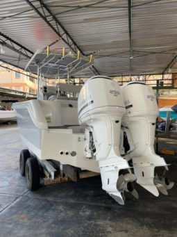 
										BOSTON WHALER DAUNTLESS 24 full									