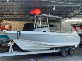 BOSTON WHALER DAUNTLESS 24