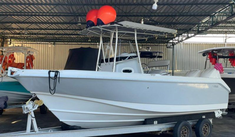 
								BOSTON WHALER DAUNTLESS 24 full									