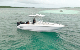 
										BOSTON WHALER OUTRAGE 28 full									
