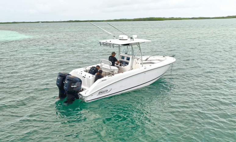 
								BOSTON WHALER OUTRAGE 28 full									