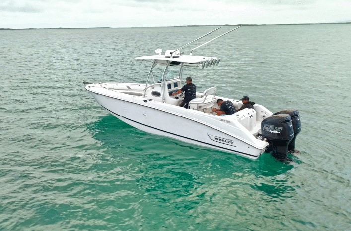 
								BOSTON WHALER OUTRAGE 28 full									