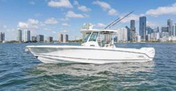 
										BOSTON WHALER OUTRAGE 330 33 full									