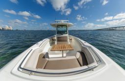 
										BOSTON WHALER OUTRAGE 330 33 full									