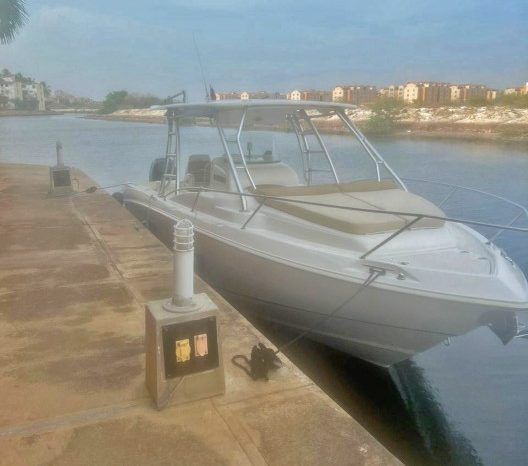 
								BOSTON WHALER OUTRAGE CUDDY 320 full									
