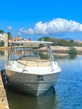 BOSTON WHALER OUTRAGE CUDDY 320