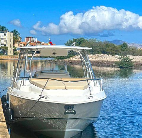 
								BOSTON WHALER OUTRAGE CUDDY 320 full									