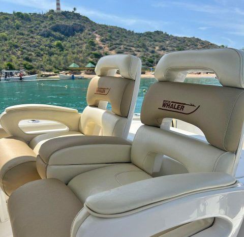 
								BOSTON WHALER OUTRAGE CUDDY 320 full									