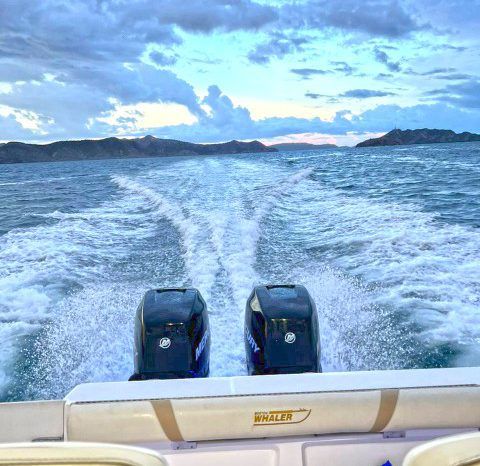 
								BOSTON WHALER OUTRAGE CUDDY 320 full									