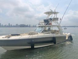 
										BOSTON WHALER OUTRAGE SPECIAL EDITION 42 full									
