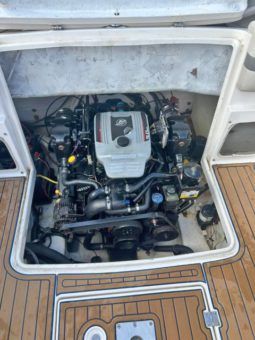
										CHAPARRAL 21.5 full									