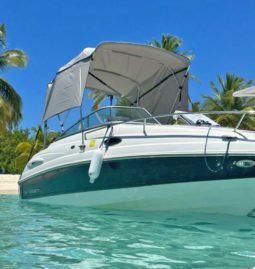 
										CHAPARRAL 21.5 full									