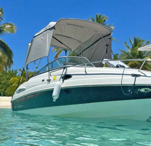 
								CHAPARRAL 21.5 full									