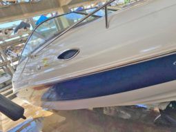 
										CHAPARRAL 21.5 full									