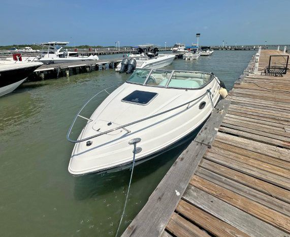 
								CHAPARRAL 21.5 full									