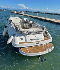 
										CHAPARRAL 21.5 full									