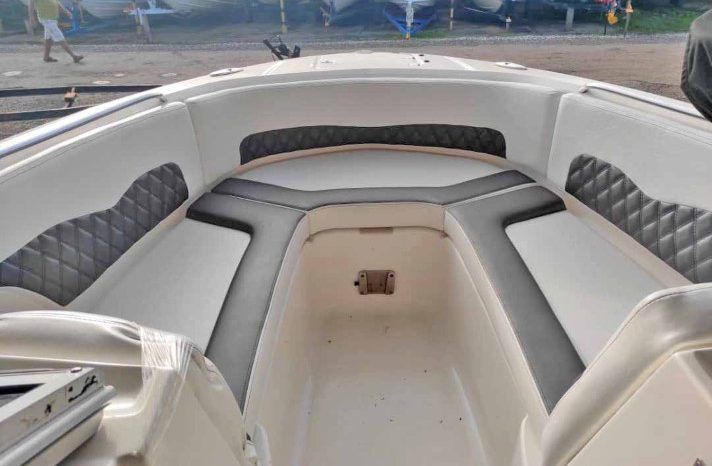 
								CHAPARRAL 246 24 full									