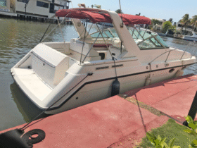 CHAPARRAL 31