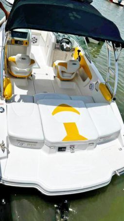 
										CHAPARRAL H2O 19 full									