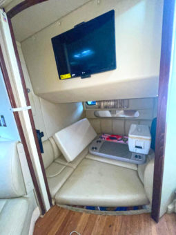 
										CHAPARRAL SIGNATURE 37 full									