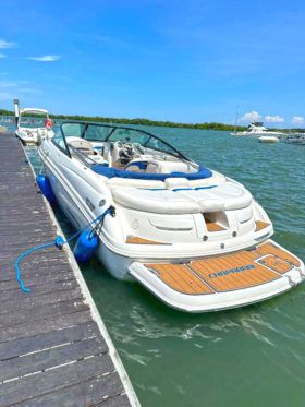 CHAPARRAL SSI 24