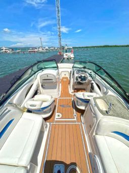 
										CHAPARRAL SSI 24 full									