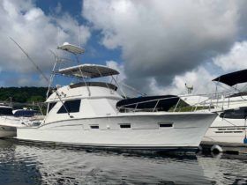 CHRIS CRAFT SPORTFISH 45.5