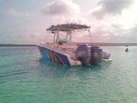 COMMANDER 32.5