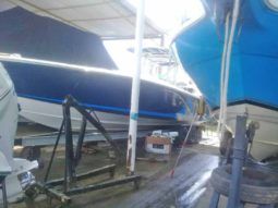 
										COMMANDER 32.5 full									
