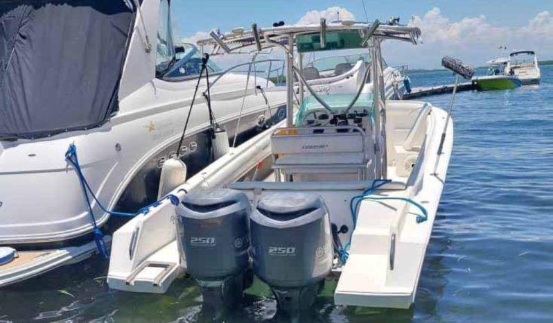 
								COMMANDER 32.5 full									