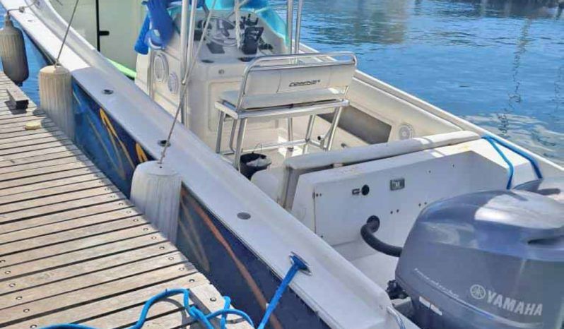 
								COMMANDER 32.5 full									