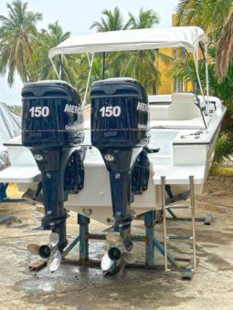 
										COMMANDER BULLET 24 full									