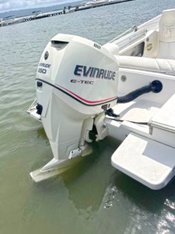 COMMANDER SPORT 24