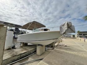 CORALINE 24