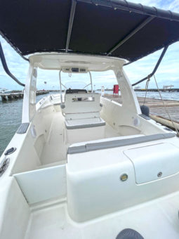 CORALINE CC 30