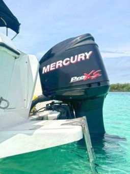 
										CORALINE OPEN 22 full									