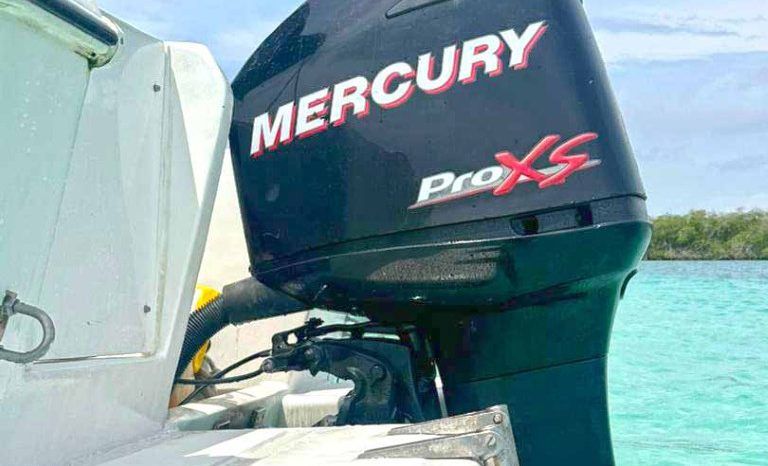 
								CORALINE OPEN 22 full									