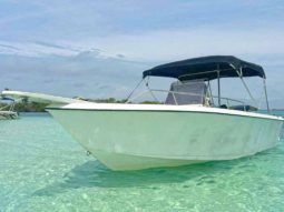 
										CORALINE OPEN 22 full									